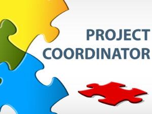 SmartTalent - Project Coordinator